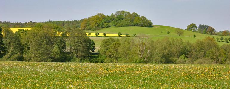 Wellness und Urlaub in Thüringn